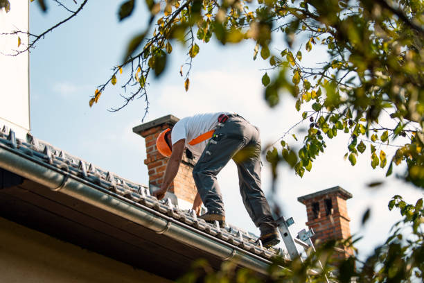 Quick and Trustworthy Emergency Roof Repair Services in Westwood, NJ